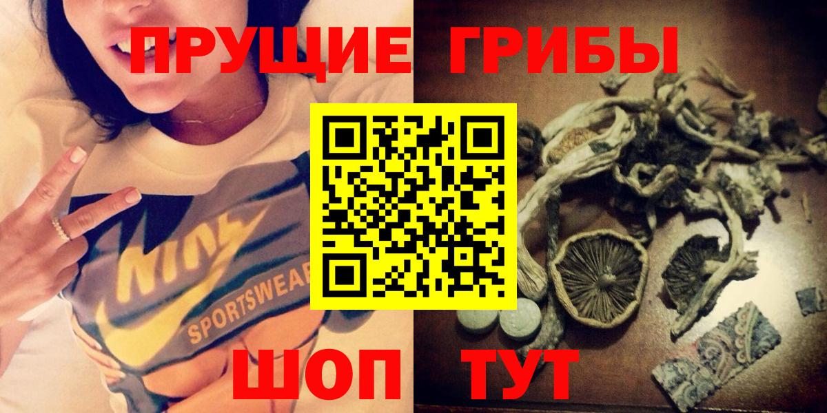Галлюциногенные грибы GOLDEN TEACHER Дятьково