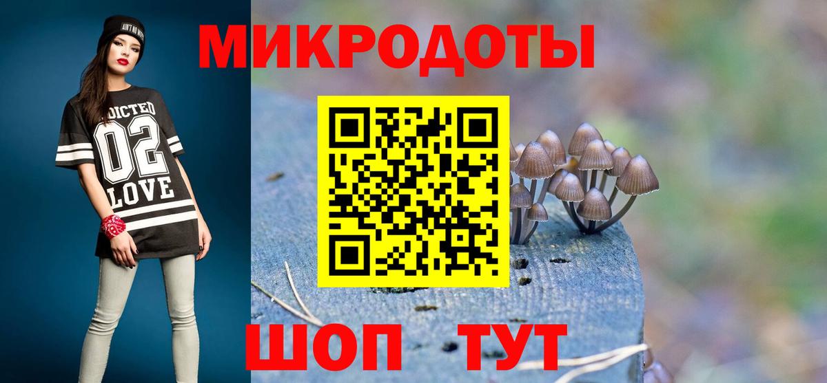 Дятьково  магазин продажи наркотиков  Вход с VPN  Галлюциногенные грибы Psilocybe 